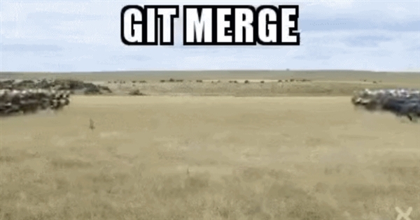 当了这么久“汪峰” 阿里的Qwen3终于喜提热搜了